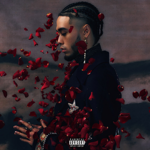 富二代精品短视频在线
